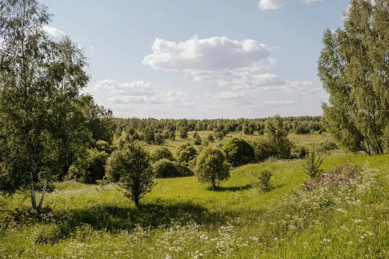 Прогулки