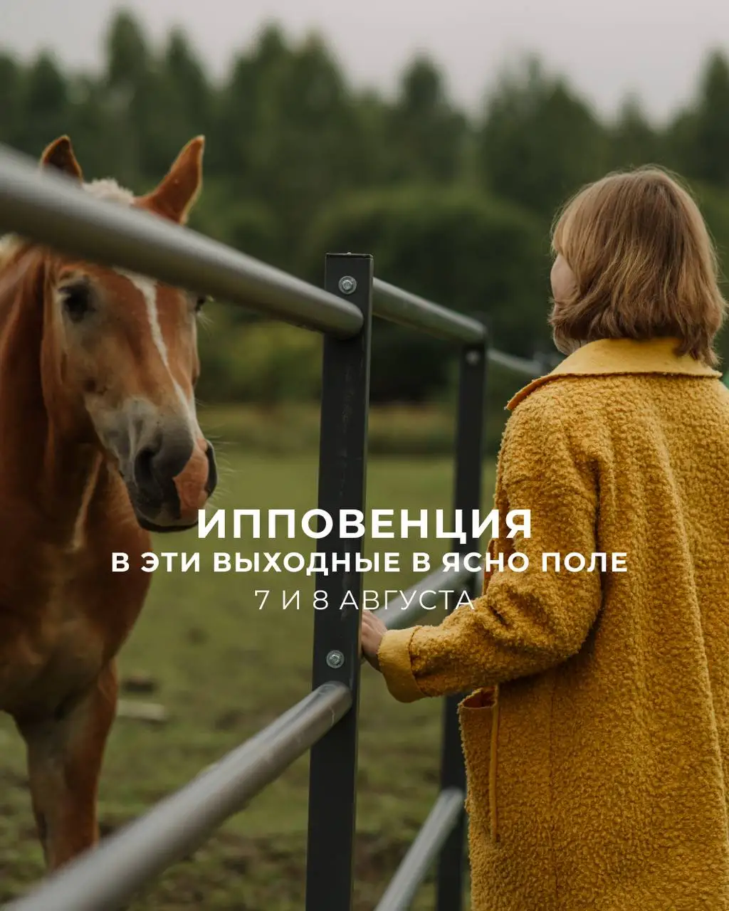 Ипповенция Ясно Поле 7-8 августа 