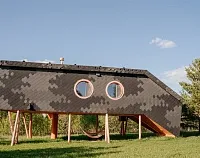 Дом-Корова Большая