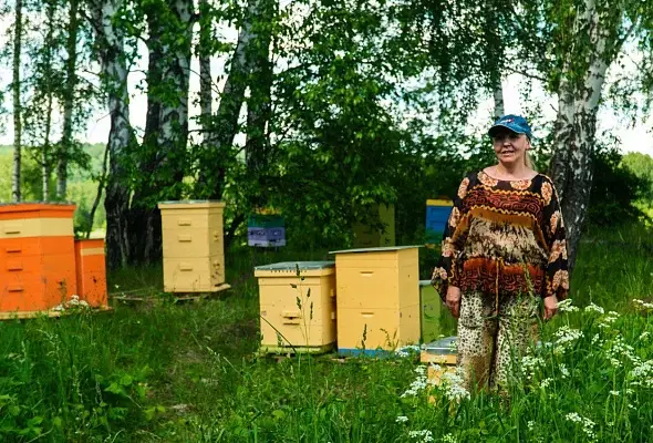 Апитерапия/Аэроапитерапия/Сон на ульях/Пасека